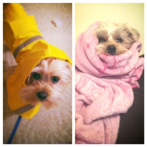 Weekend outlook....Cold and pitiful