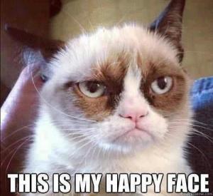 Grumpy-Cat-Purina